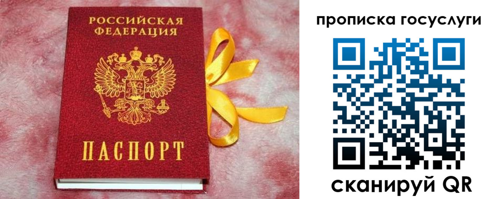 прописка законно в Поворино